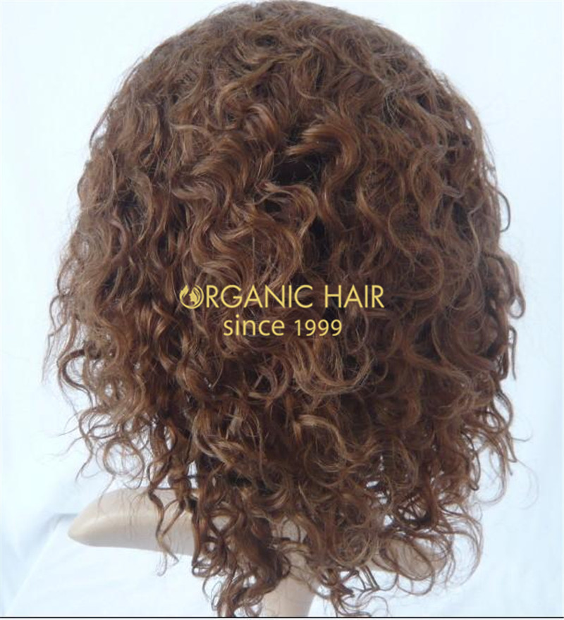 Organic human hair cheap lace front wigs
